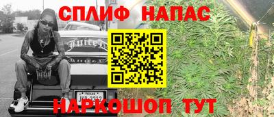 гашик Кулебаки
