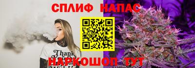 гашик Кулебаки