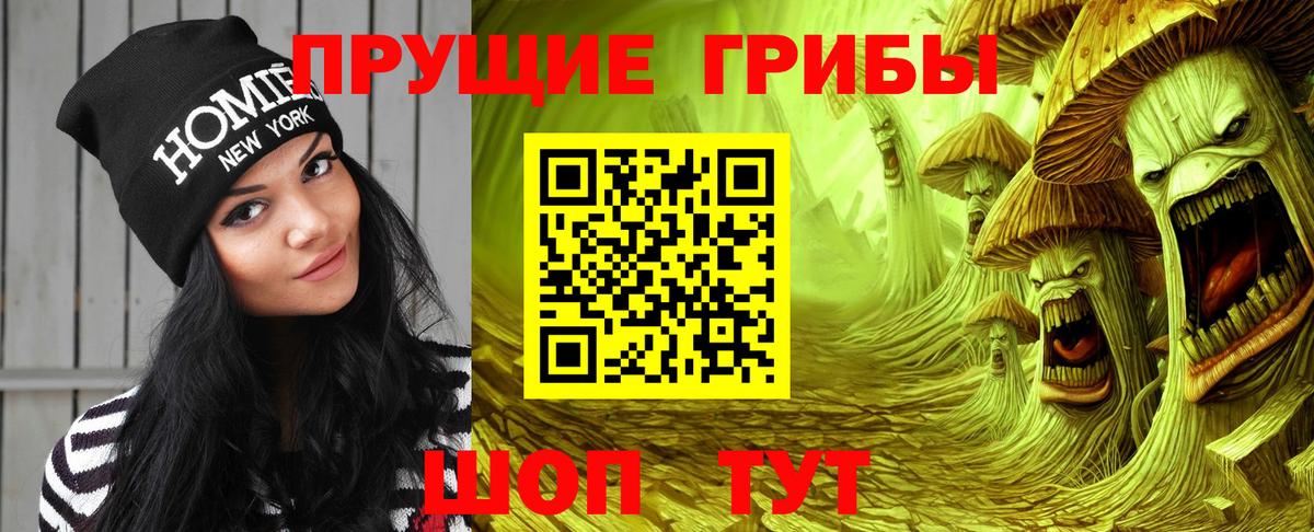 Галлюциногенные грибы Magic Shrooms Великий Устюг