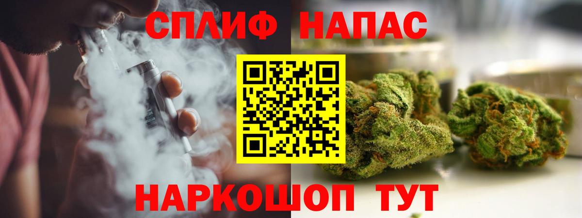 Конопля гибрид Великий Устюг